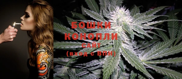 стафф Белоозёрский