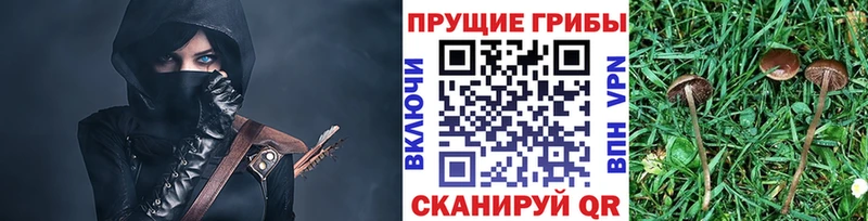 купить закладку  Улан-Удэ  Галлюциногенные грибы мицелий 